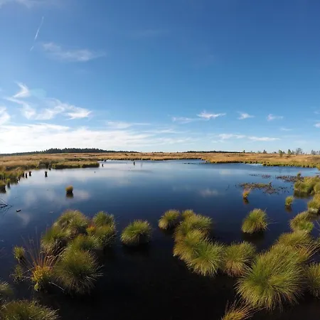 Apartament Eifel-home Jakobs