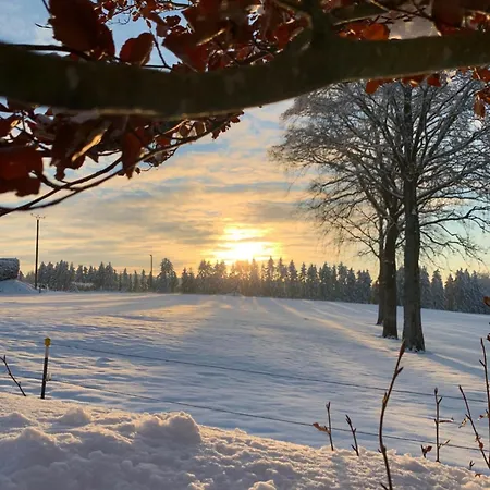 Eifel-home Jakobs Apartament