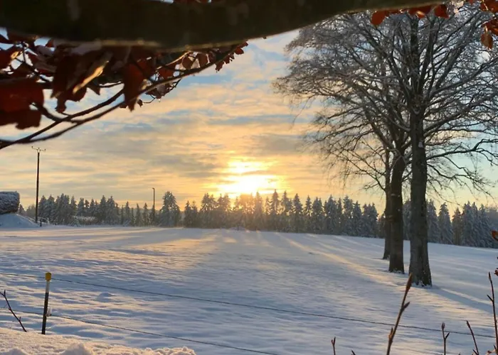 Eifel-home Jakobs Διαμέρισμα